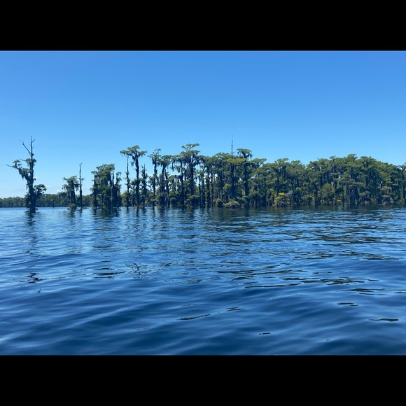 Meet your Posher, Melissa - Picture 5 of 5